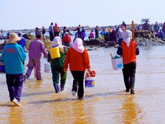 -阳光海岸露营公园