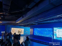 -重庆欢乐海底世界