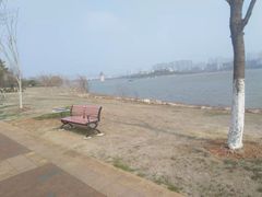 -九龙湖公园