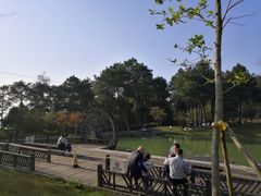 -铁山坪森林公园