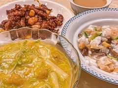 板栗津白-津城食府