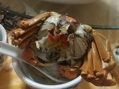 -乡乐园蟹庄·阳澄湖农家乐