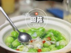 -圆苑(静安寺店)