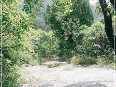 -龙洞风景区-藏龙涧