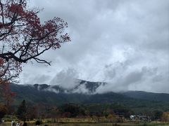 -塔川景区