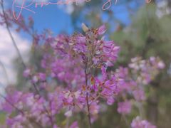 -名花谷生态庄园