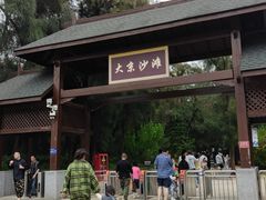 -大京沙滩