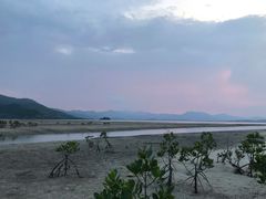 -盐洲岛