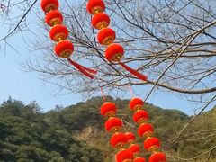 -宁波五龙潭景区