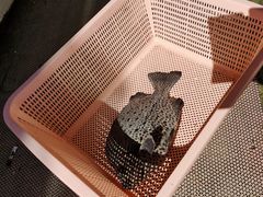 -南蚝小贝海鲜特色餐厅(南澳岛店)