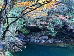 -光雾山旅游景区