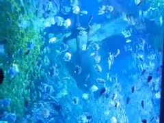 -波塞冬海底世界