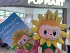 -泡泡玛特POPMART(国金街店)