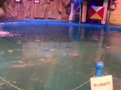 -烟台海昌鲸鲨海洋公园