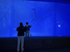 -多彩贵州城极地海洋世界