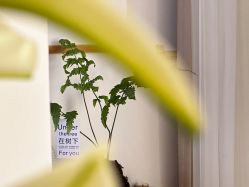 -闺蜜瑜伽·普拉提女性塑形馆