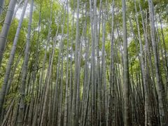 -敬亭山风景名胜区