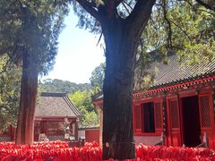 -红螺寺