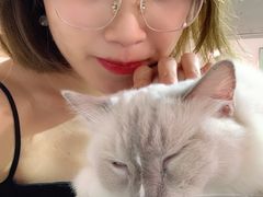 -Heymao猫咖.咖啡厅(东门店)