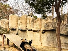 -上海野生动物园