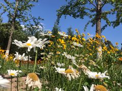 -永定河休闲森林公园