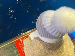 单人钓虾-钳真多钓虾馆·小龙虾海鲜烧烤(九六广场店)