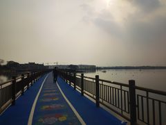 -鹅湖玫瑰文化园