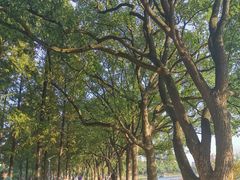 -食膳公园包子铺(烈士公园店)