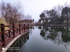 -澹台湖公园