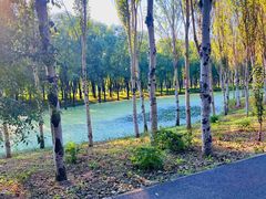 -东郊湿地公园