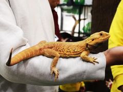 -藦茜花园宠物主题亲子互动体验馆(国顺东路店)