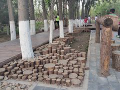 -回龙观体育文化公园