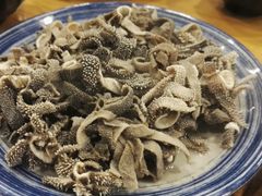 羊散丹-金生隆(六铺炕店)