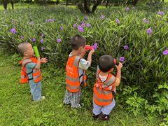 -金点蒙氏国际教育(悠然校区)