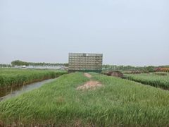 -东方华地城湿地温泉度假区