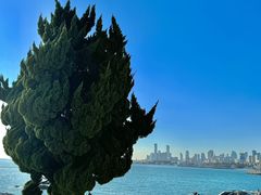 -初屋和风料理(极地店)