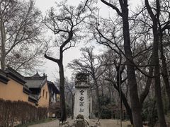 -灵谷景区