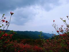 -大围山国家森林公园