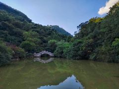 -黔灵山公园