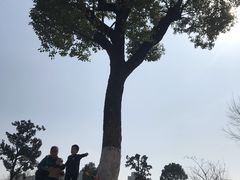 -杭州城北体育公园