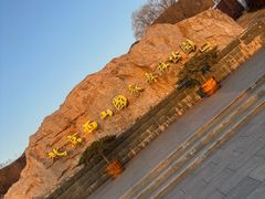 -北京西山国家森林公园