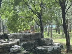 -秦皇岛野生动物园