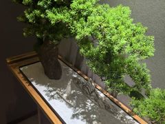 -耳域躺式采耳SPA馆(新街口店)