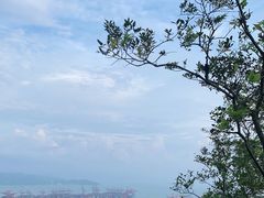 -小南山公园