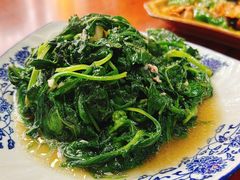 炒山野菜（蒲公英叶）-苗湘食府(十年店)