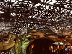 -杭州开元森泊度假乐园