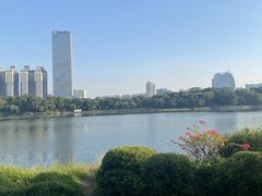 -南宁南湖公园