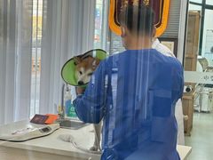 -美美宠物诊疗中心·异宠·骨科(滨江东信分院)