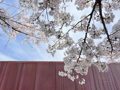 -龙美术馆(西岸馆)