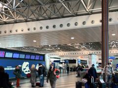 -米兰马尔彭萨国际机场